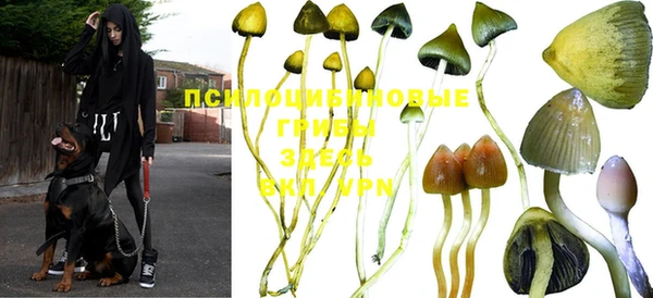 mdpv Абинск