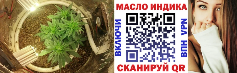 OMG ONION цена Зеленогорск Дистиллят ТГК концентрат