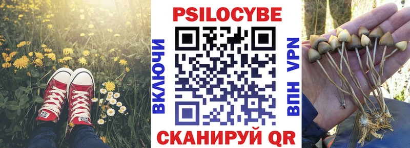 Галлюциногенные грибы Psilocybine cubensis  купить наркоту  Зеленогорск 