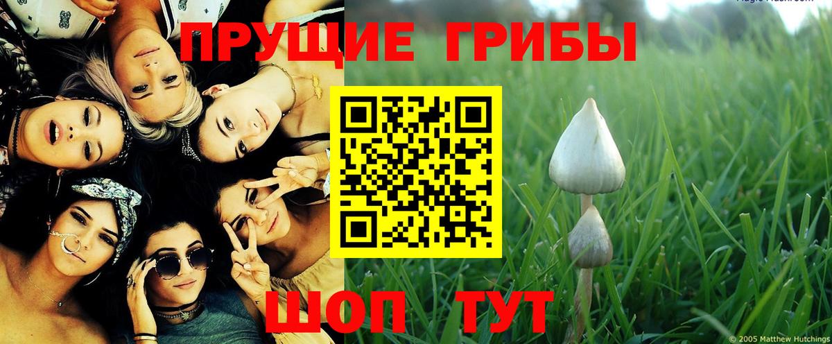 Галлюциногенные грибы Magic Shrooms  Вход с VPN  Зеленогорск 