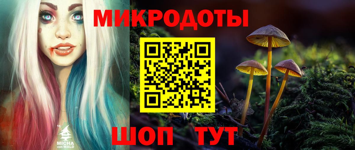 Галлюциногенные грибы мицелий Зеленогорск