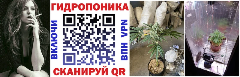 Бошки марихуана THC 21% Зеленогорск